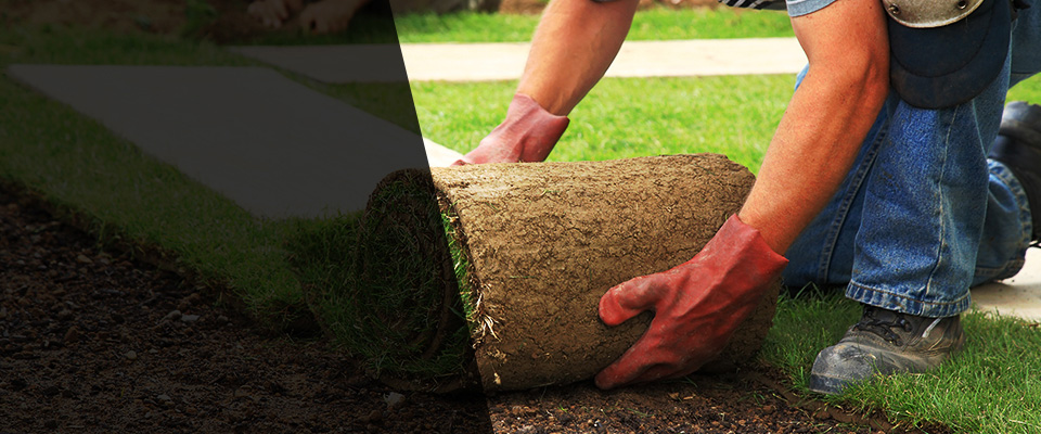 Wapwallopen Landscapers